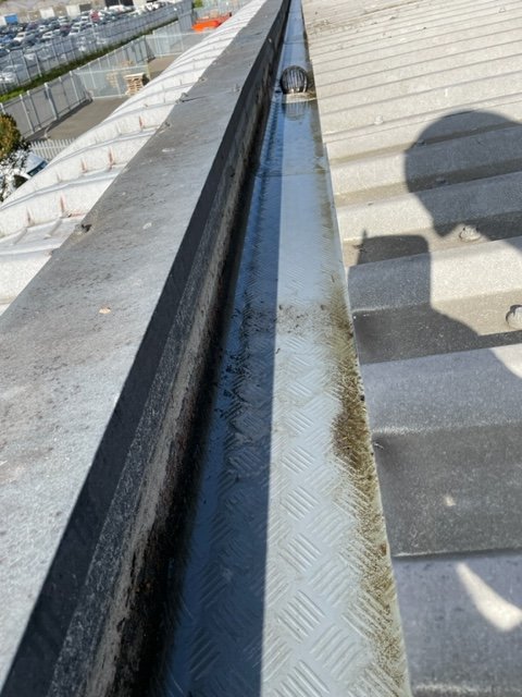 Before cleaning