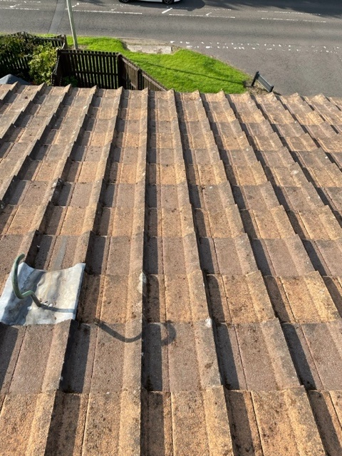 After cleaning