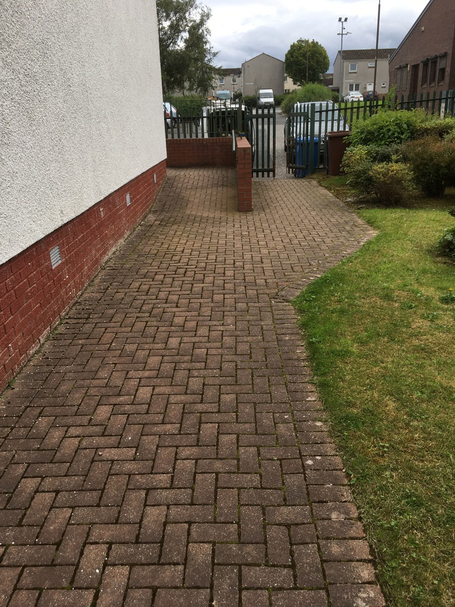 Driveway Cleaning